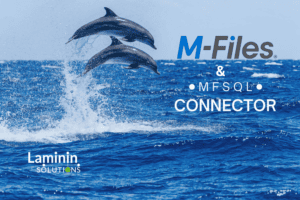 two dolphins jumping together, side by side